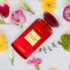 Secret Roja Elixir EDP 100ML - Image 3